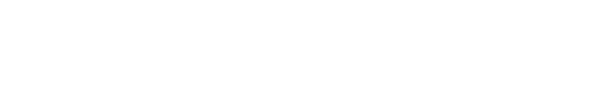 VestaSport
